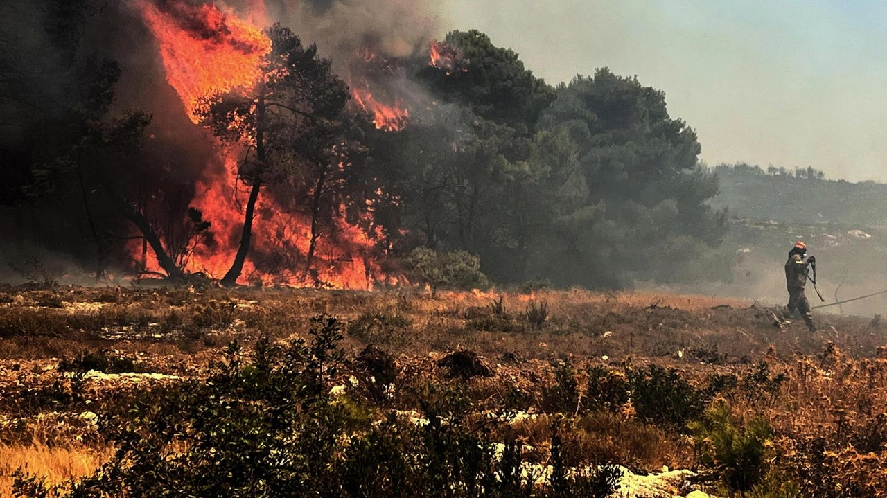 Pompieri lottano per domare le fiamme anche nel Peloponneso Pompieri lottano per domare le fiamme anche nel Peloponneso