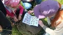 Cittadini come gli scienziati cercano e catalogano le farfalle