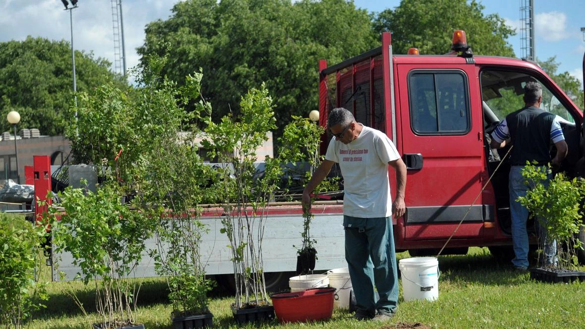 Tre i siti individuati, uno di loro “cancellato” e gli oltre 2mila alberi saranno piantumati sulle altre due aree. All’auditorium il primo di un ciclo di incontri tra Città Metropolitana e Comuni aderenti al percorso green.