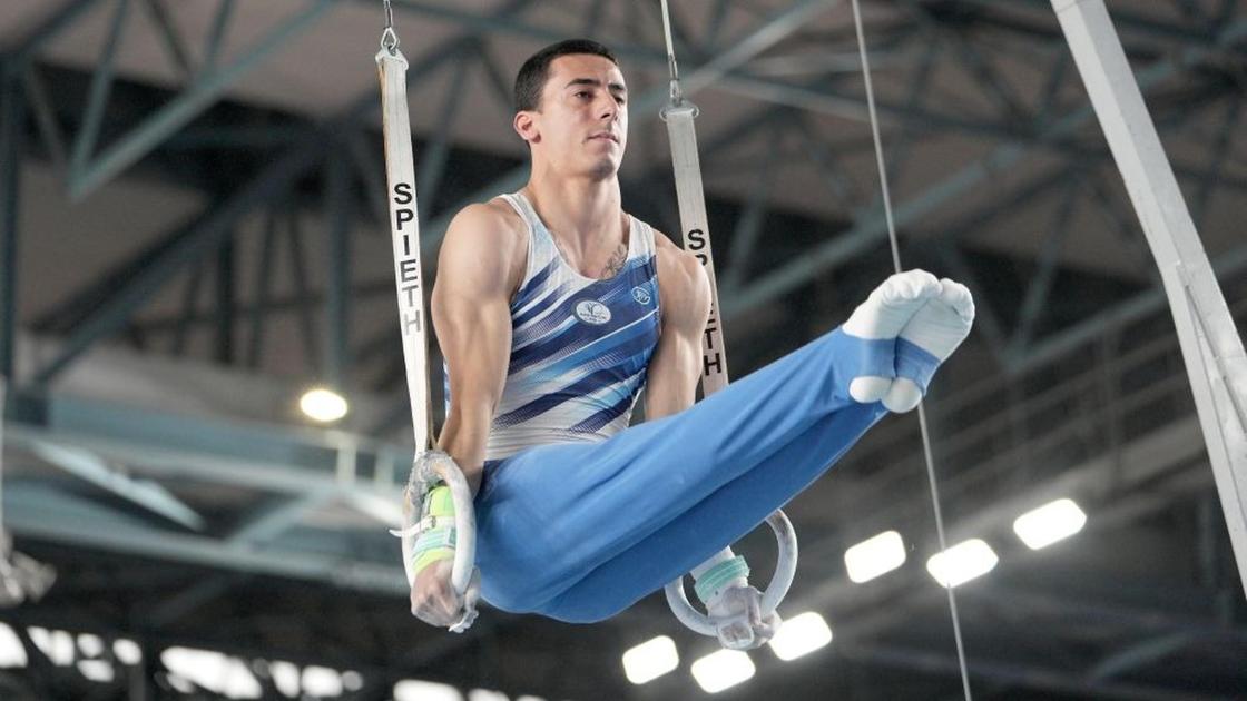 Lorenzo Bonicelli, danno neurologico dopo la caduta in gara. Le condizioni del ginnasta lecchese Lorenzo Bonicelli, danno neurologico dopo la caduta in gara. Le condizioni del ginnasta lecchese