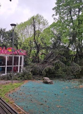 giardini pattani sotto cura ora si pensa al recupero da Ilgiorno.it giardini pattani sotto cura ora si pensa al recupero