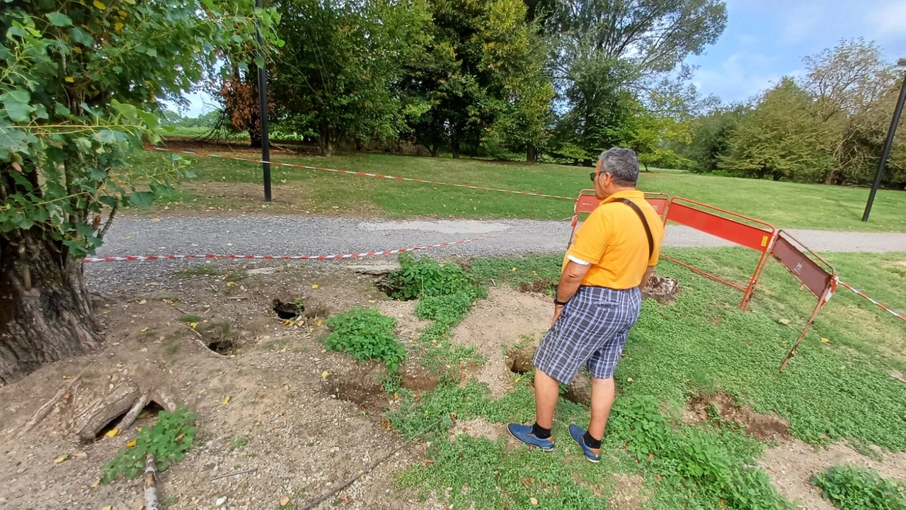 Tane di lepri al Parco dei Giganti Tane di lepri al Parco dei Giganti