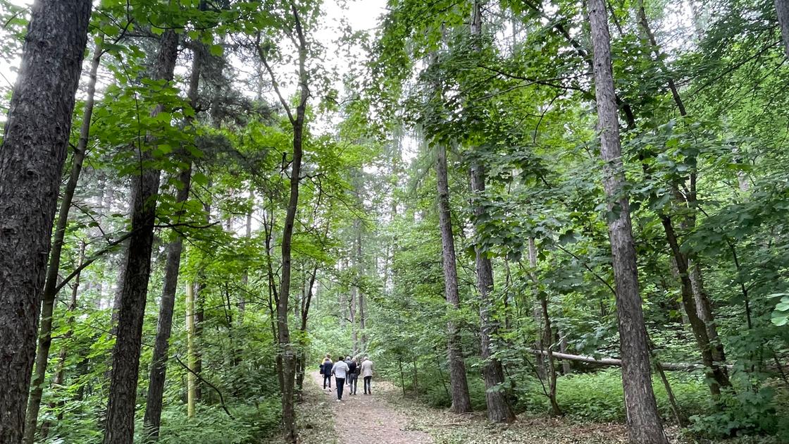 romagnese al giardino botanico scienza e spettacolo a san lorenzo e ferragosto