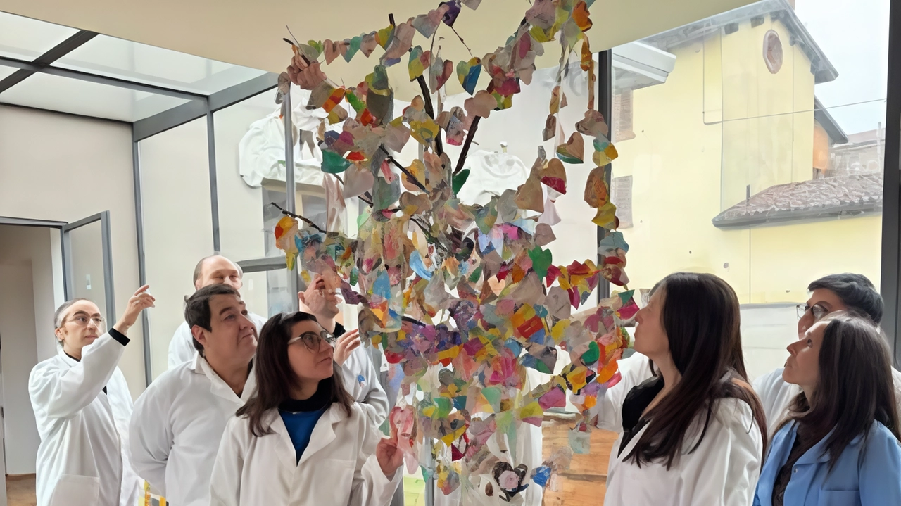 Scuola Bergognone: 50 anni di arte e sfide per il futuro