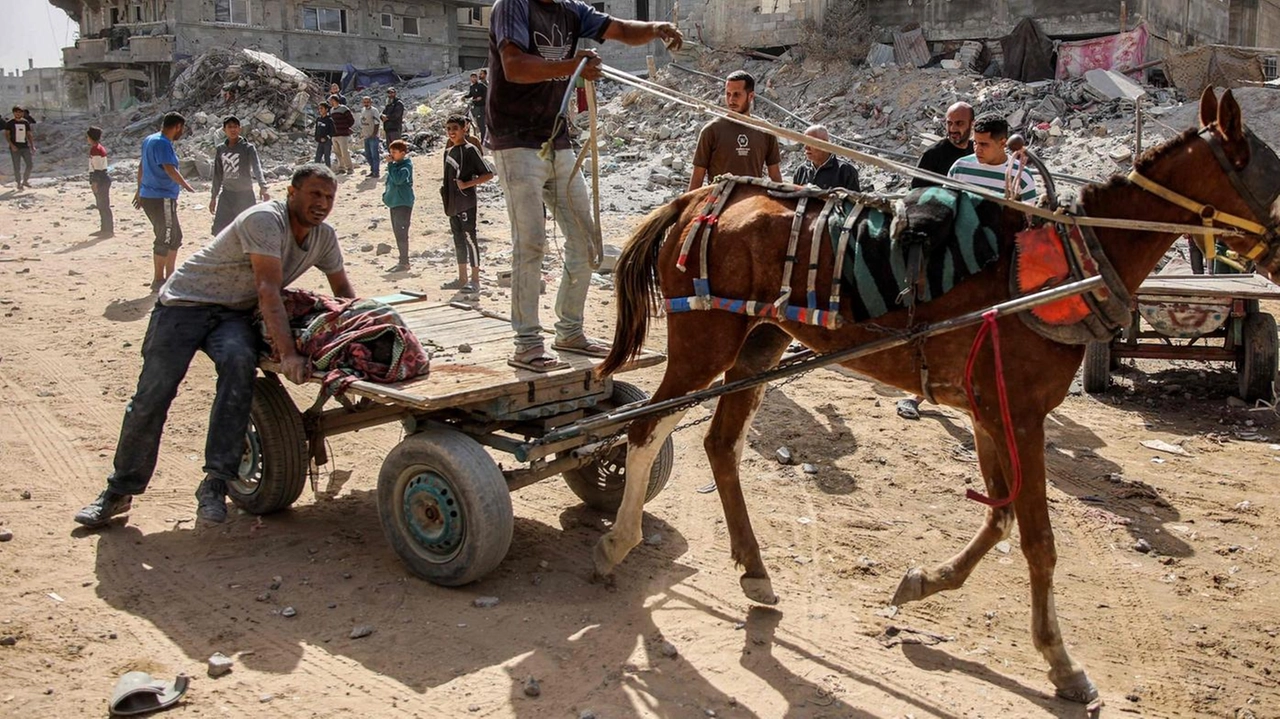 La tragedia dei palestinesi in sala a Lecco. Domani, a partire dalle 20.30 nella sala provinciale don Giovanni Ticozzi di... La tragedia dei palestinesi in sala a Lecco. Domani, a partire dalle 20.30 nella sala provinciale don Giovanni Ticozzi di...