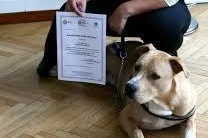 Ai proprietari dei cani la patente di comportamento: "Per informarli su tutto"