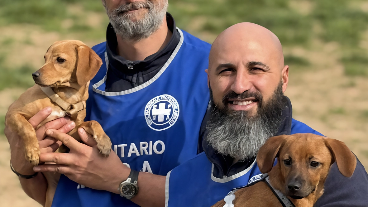 Le due cucciole di cane messe in salvo dall’Enpa: erano state abbandonate in una valigia ma erano per fortuna in buone condizioni di salute