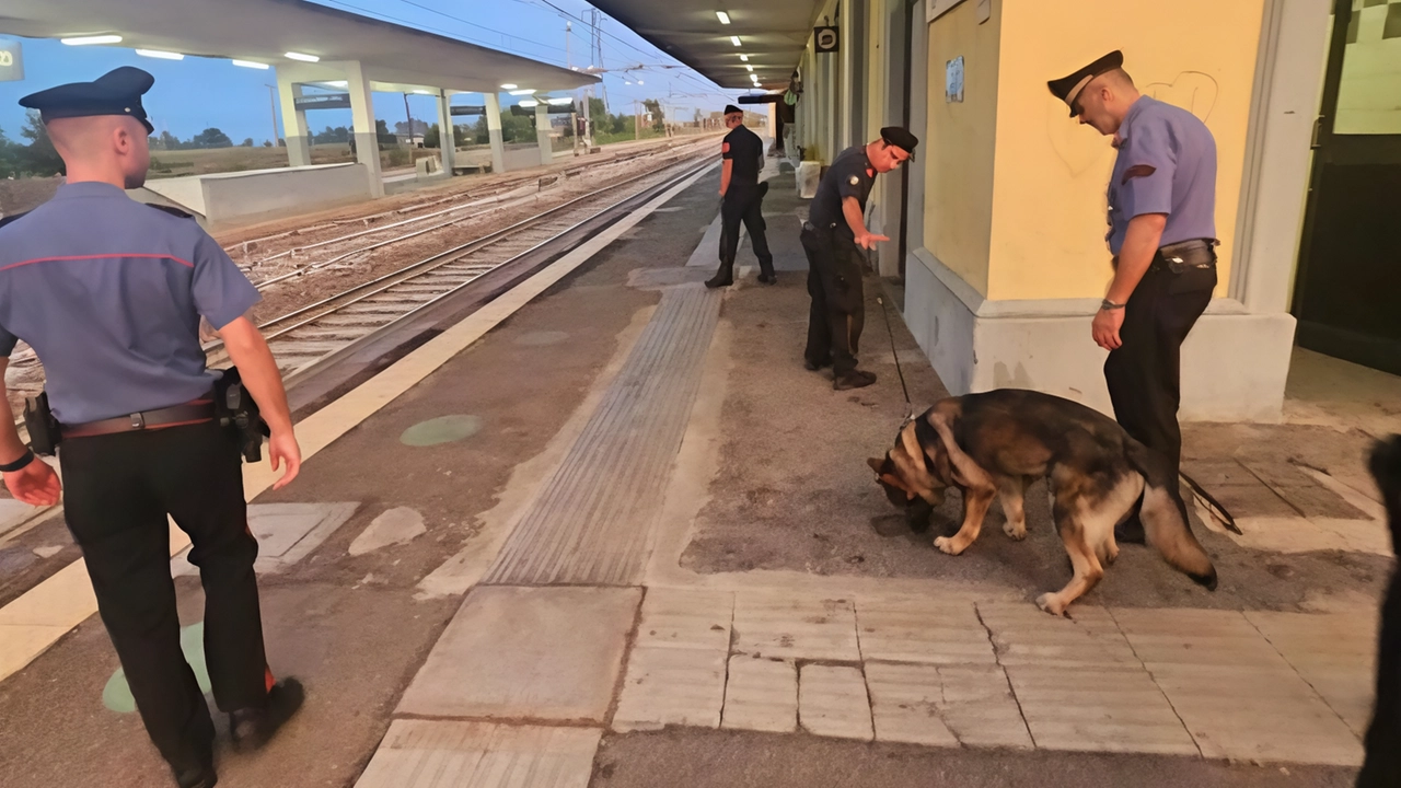 Il comando compagnia dei carabinieri di Codogno intensifica i controlli a Casalpusterlengo per contrastare violenze, furti e truffe. Identificate sessanta persone e verificati trenta veicoli. Episodio di violenza in un centro per richiedenti asilo. Il comando compagnia dei carabinieri di Codogno intensifica i controlli a Casalpusterlengo per contrastare violenze, furti e truffe. Identificate sessanta persone e verificati trenta veicoli. Episodio di violenza in un centro per richiedenti asilo.