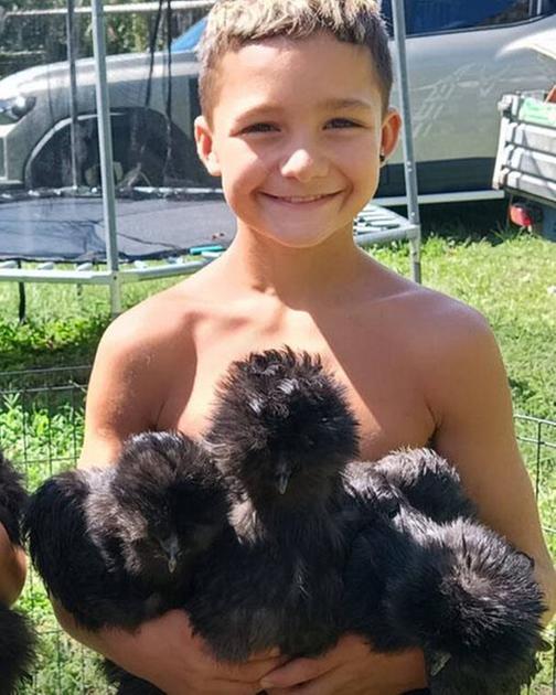 Anatre uccise a bastonate. Ivan ne dona due delle sue