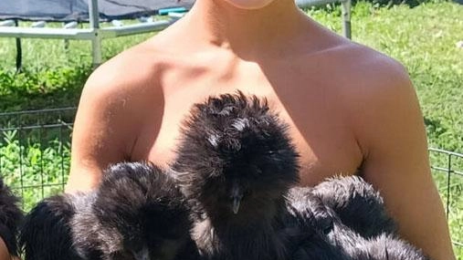 Il dodicenne Ivan Svanetti ha donato due anatre al Comune di Barbata per rimpiazzare quelle uccise nel parco Roggia Fontanone Il dodicenne Ivan Svanetti ha donato due anatre al Comune di Barbata per rimpiazzare quelle uccise nel parco Roggia Fontanone