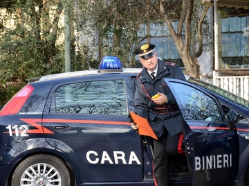 immagine articolo