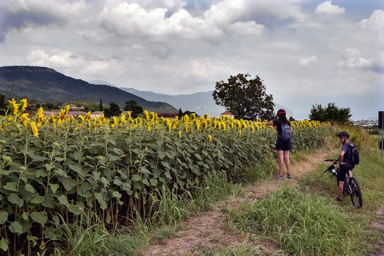 due persone fotografano il campo di Adro