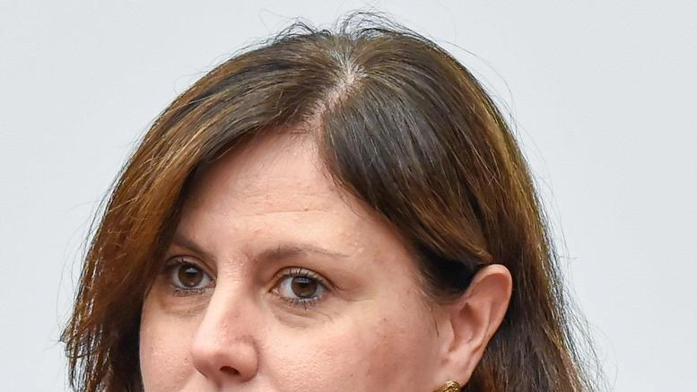 Chiara Braga, capogruppo alla Camera del Partito democratico ha presentato un’interrogazione Chiara Braga, capogruppo alla Camera del Partito democratico ha presentato un’interrogazione