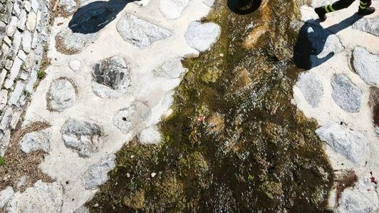 I vigili del fuoco recuperano la moto piombata giù dalla Statale Regina a Griante I vigili del fuoco recuperano la moto piombata giù dalla Statale Regina a Griante