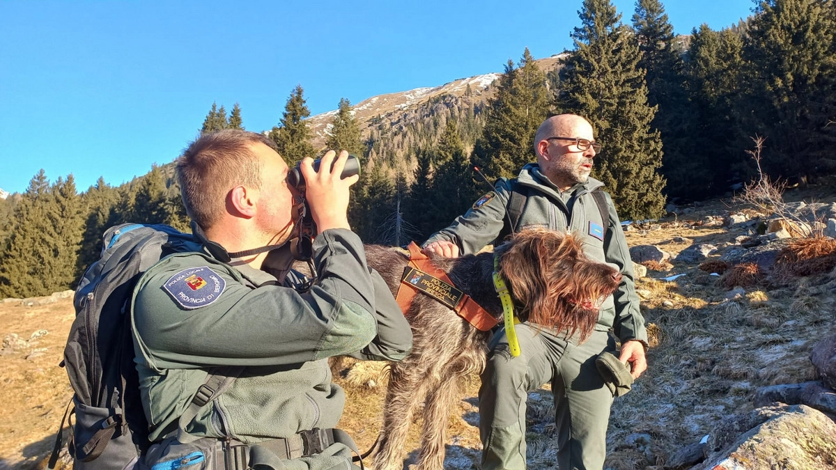 Gli agenti della polizia provinciale di Bergamo con il cane anti-esche avvelenate (Dire)