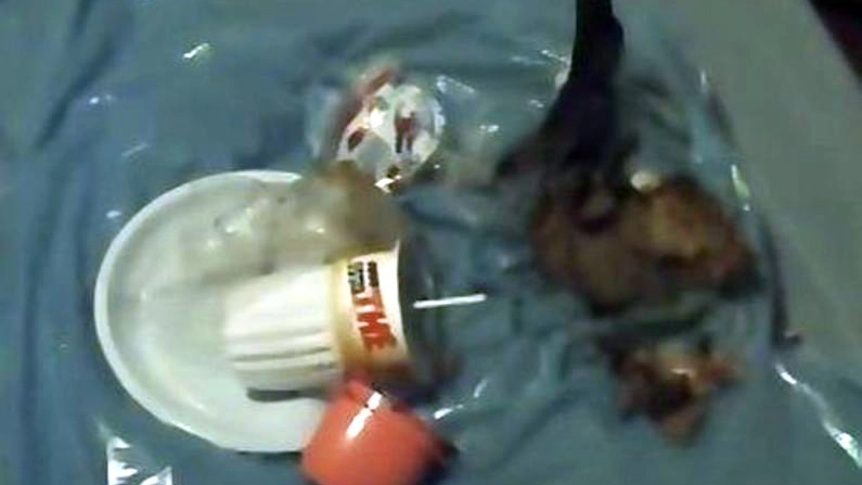I due vasetti di yogurt e i resti della banana trovati nella casa di Chiara Poggi a Garlasco