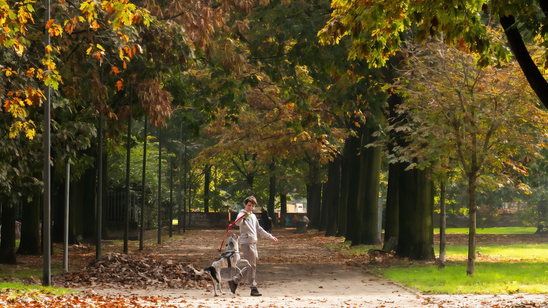 Il parco della Resistenza, ex cimitero Gentilino, simbolo di trasformazioni urbane a Tibaldi. Dalla Prima guerra mondiale a oggi, tra utilizzo e critiche dei residenti. Il parco della Resistenza, ex cimitero Gentilino, simbolo di trasformazioni urbane a Tibaldi. Dalla Prima guerra mondiale a oggi, tra utilizzo e critiche dei residenti.