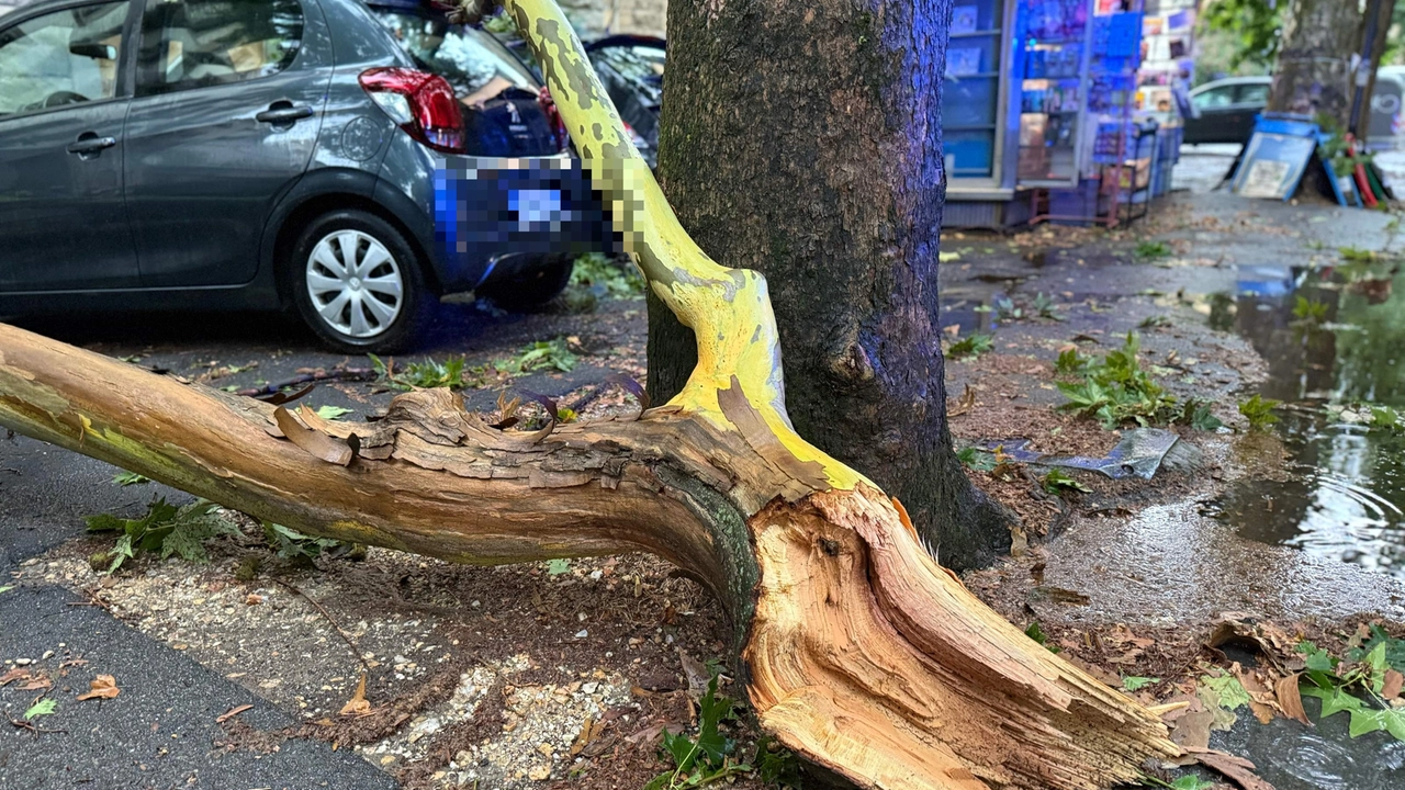 Nubifragio a Milano, due operai in ospedale: feriti da rami mentre potavano alberi pericolanti