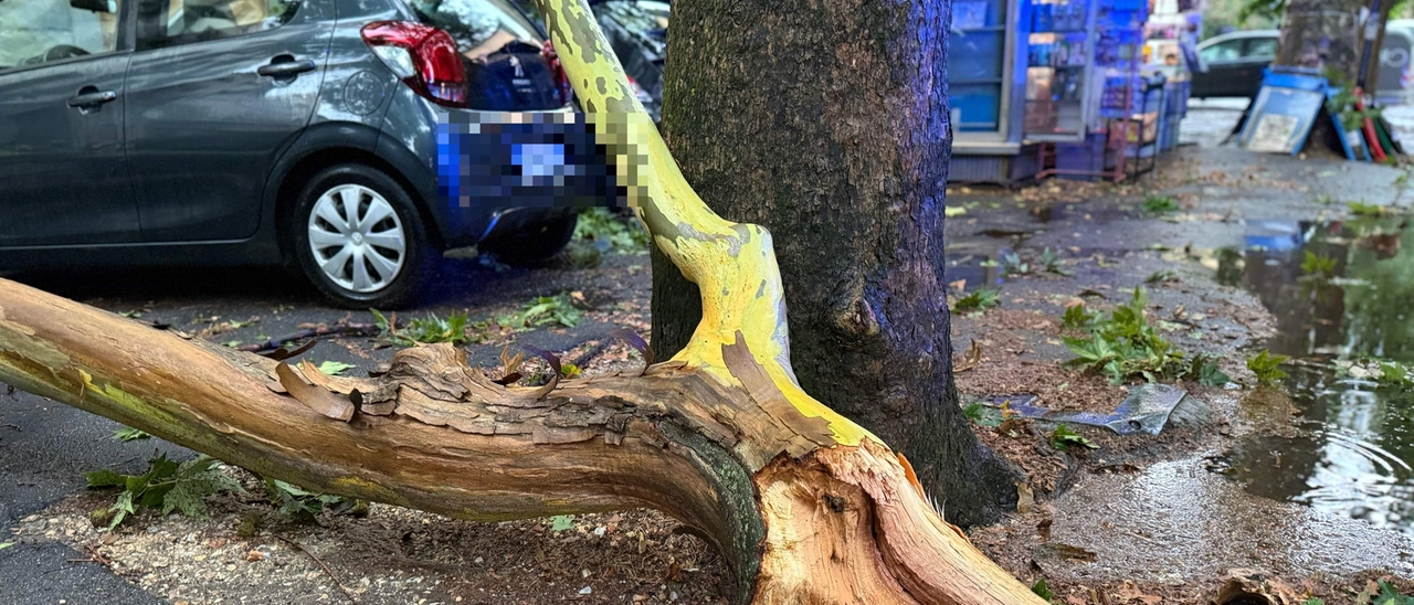 Nubifragio a Milano, due operai in ospedale: feriti da rami mentre potavano alberi pericolanti