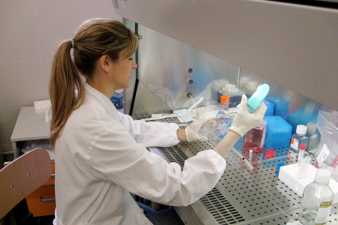Analisi di laboratorio per accertare la presenza di legionella in campioni di acqua (Archivio)