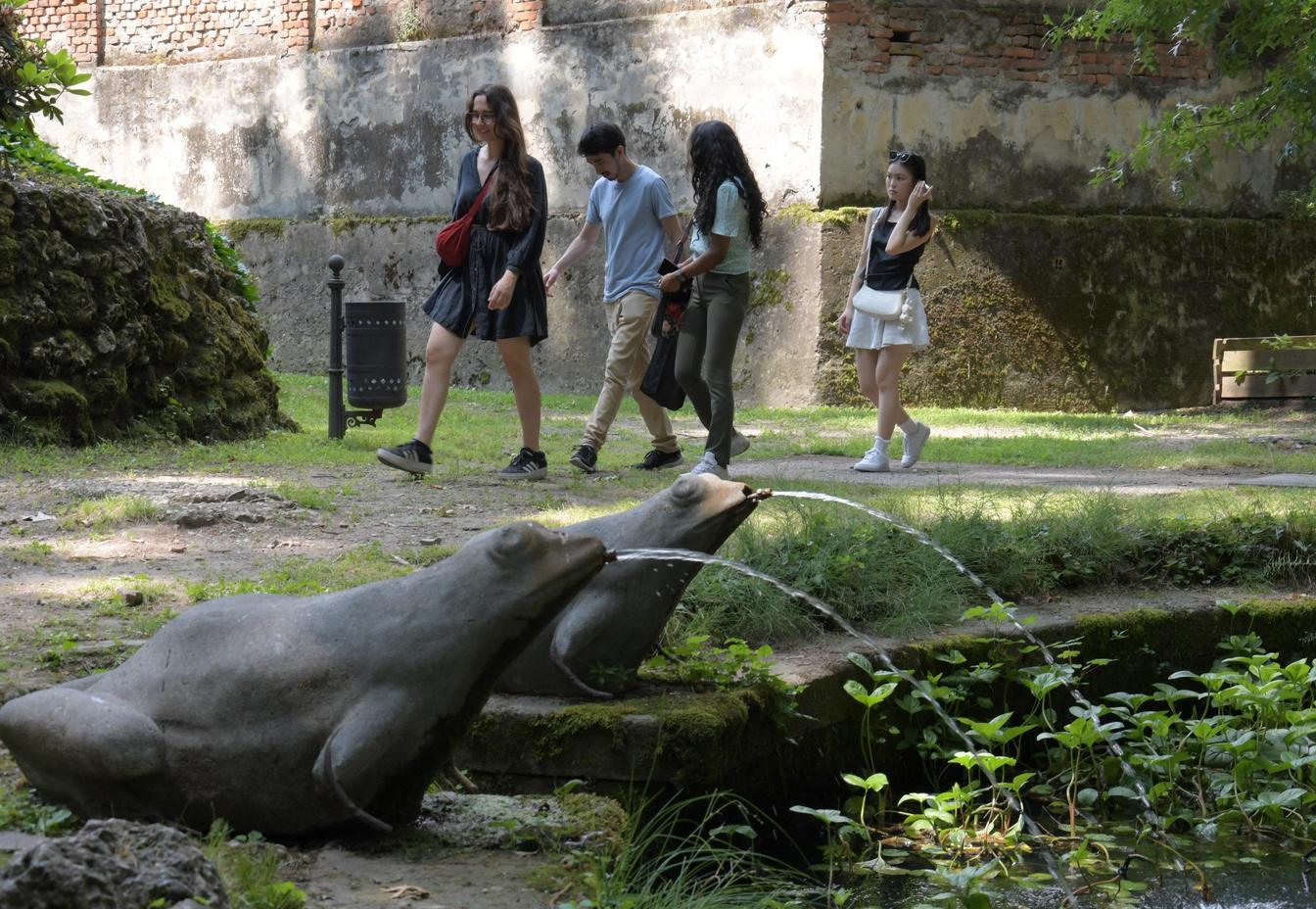 l orto botanico rifiorisce dopo la serrata