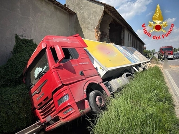 immagine articolo