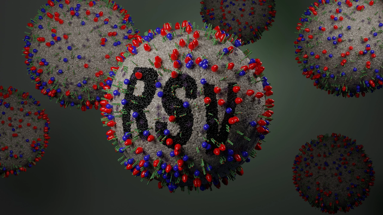 Virus respiratorio sinciziale Virus respiratorio sinciziale