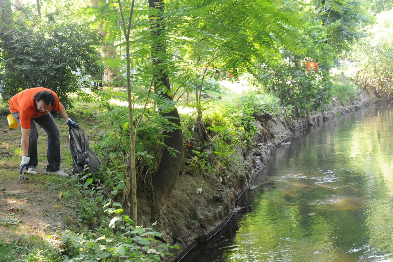 Raccolta rifiuti lungo il fiume Lambro (Archivio)