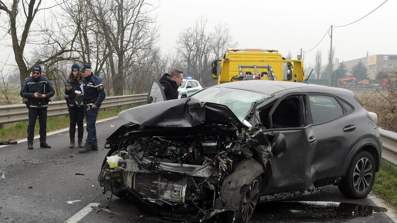 I rilievi della polizia locale dopo l’incidente frontale tra l’auto della lecchese e il furgone di un dogsitter che trasportava dieci cani I rilievi della polizia locale dopo l’incidente frontale tra l’auto della lecchese e il furgone di un dogsitter che trasportava dieci cani