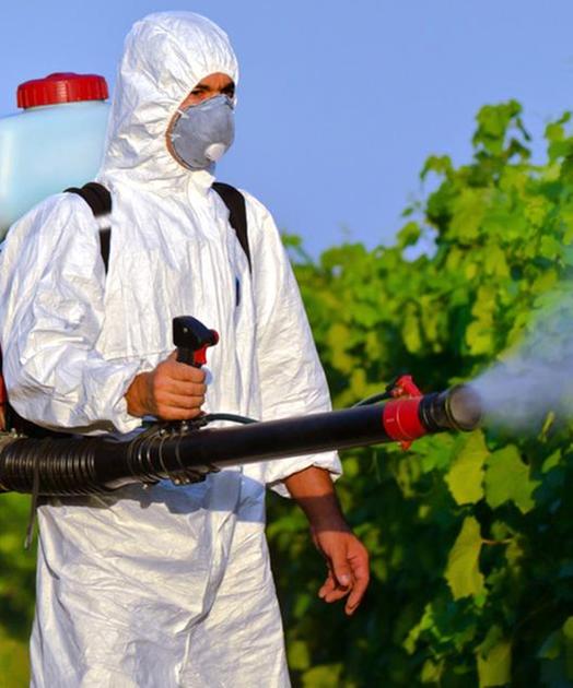 Un caso di Dengue a Cernusco. È scattata la disinfestazione Un caso di Dengue a Cernusco. È scattata la disinfestazione