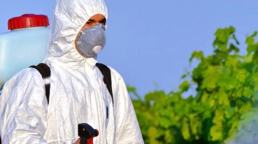 La disinfestazione potrebbe essere revocata in caso di negatività della persona che risulterebbe infetta La disinfestazione potrebbe essere revocata in caso di negatività della persona che risulterebbe infetta