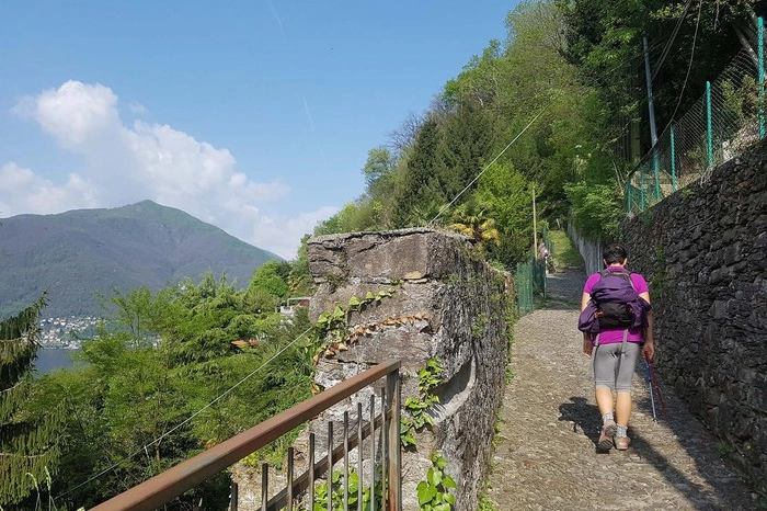 Il percorso che porta sul Monte Cadrigna a Maccagno