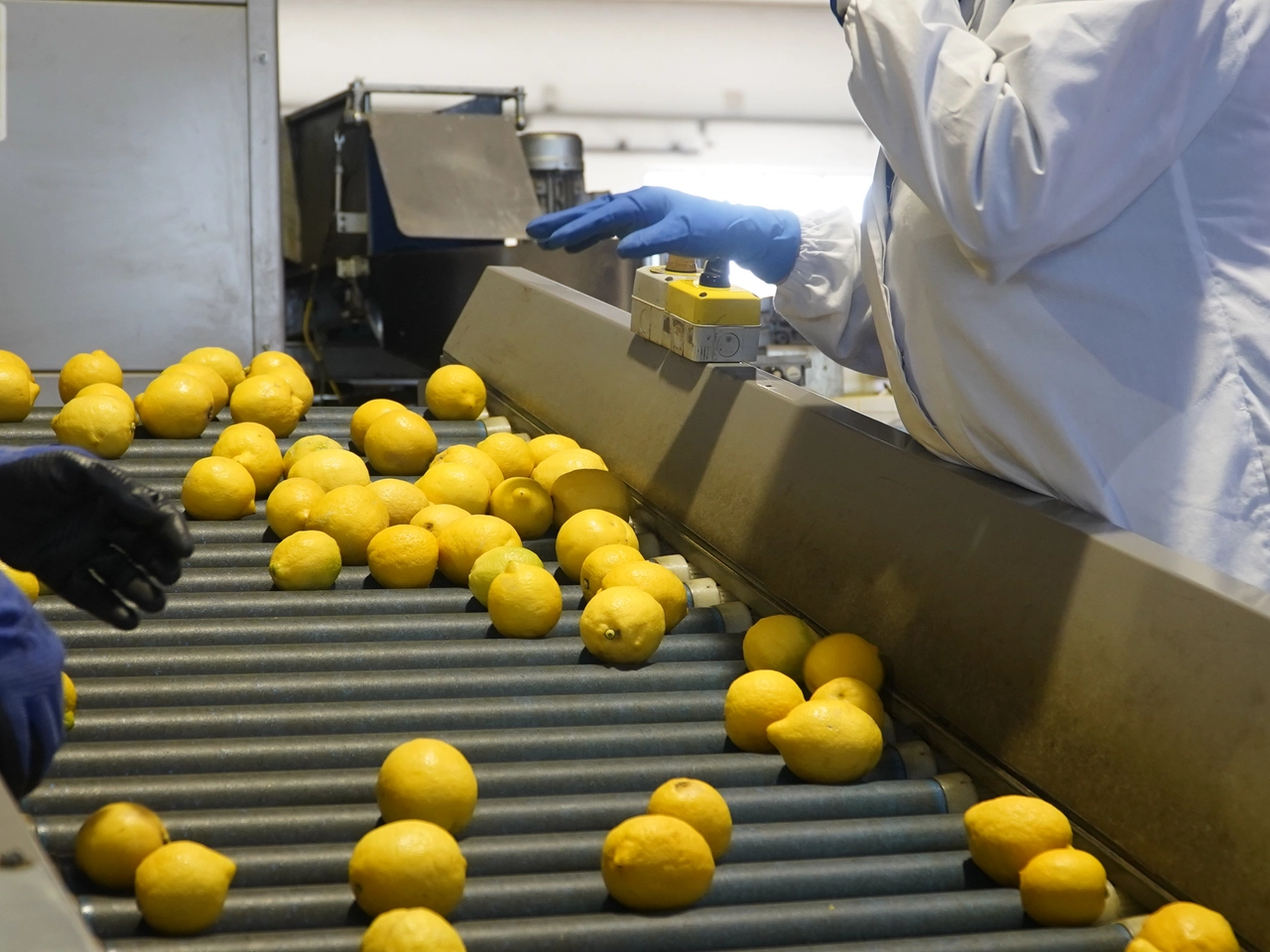 Il Gruppo Polenghi, con sede in Lombardia, ricava spreme ogni anno 535 milioni di limoni per ricavarne il succo