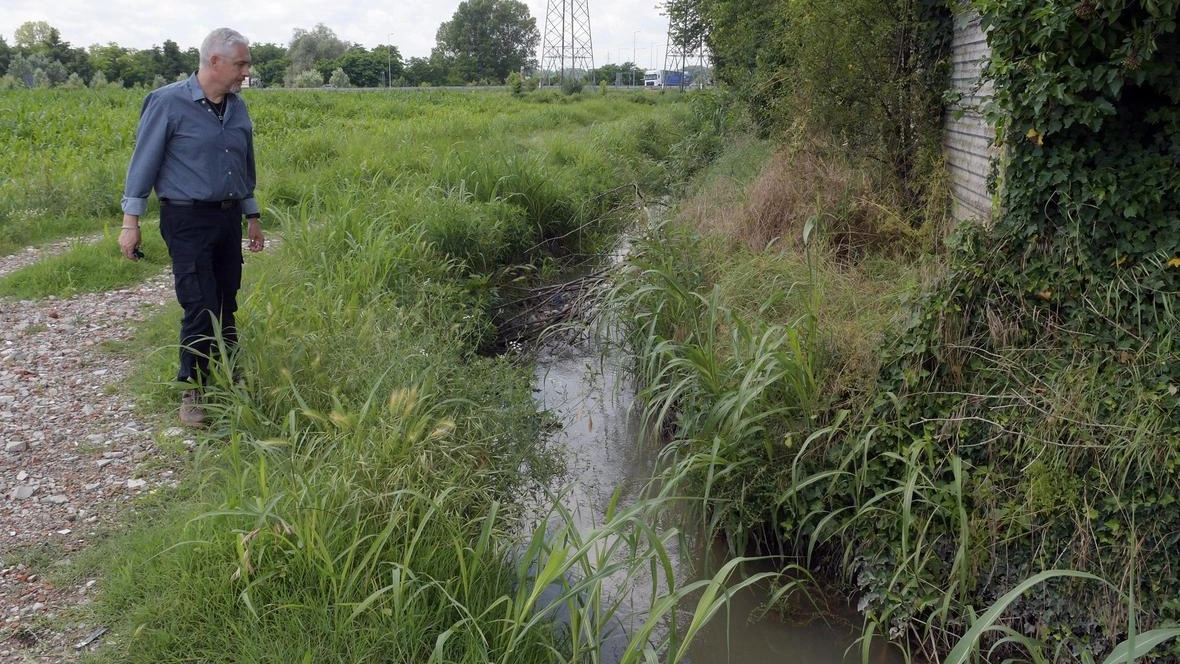 Roggia Colturana: la situazione è stata in gran parte sanata con il blocco degli sversamenti abusivi. Gli ambientalisti chiedono un’analisi dei campi vicini Roggia Colturana: la situazione è stata in gran parte sanata con il blocco degli sversamenti abusivi. Gli ambientalisti chiedono un’analisi dei campi vicini