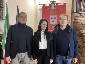 immagine articolo