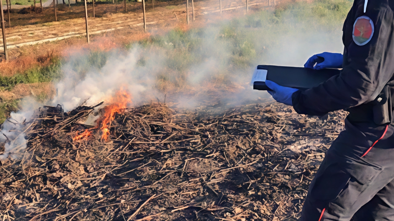 I roghi sono stati appiccati per liberarsi di sterpaglie o immondizia Tra i rischi anche l’innesco di incendi nei boschi I roghi sono stati appiccati per liberarsi di sterpaglie o immondizia Tra i rischi anche l’innesco di incendi nei boschi