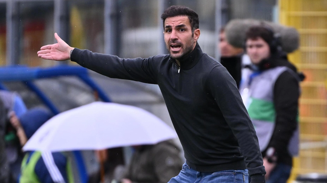 Cesc Fabregas, allenatore del Como: ha guidato i lariani alla promozione dalla B Cesc Fabregas, allenatore del Como: ha guidato i lariani alla promozione dalla B