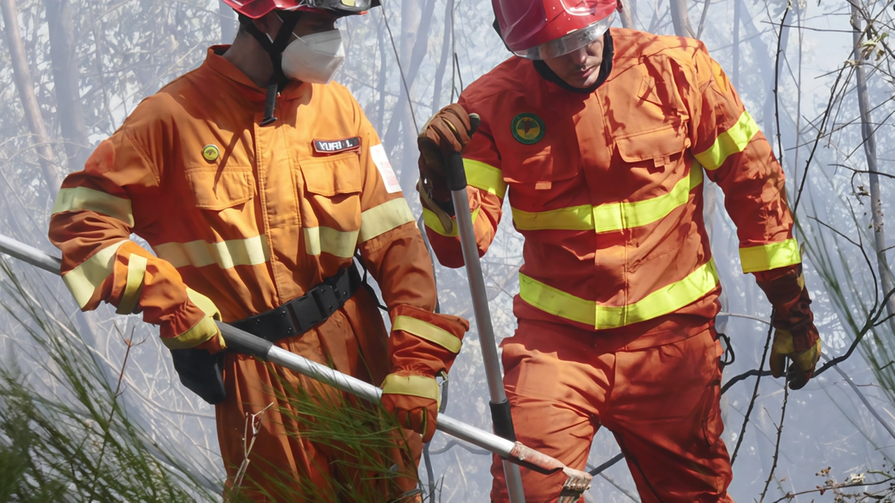 Le Associazioni fondiarie lombarde (Asfo) giocano un ruolo chiave nella gestione sostenibile del territorio, come emerso nel convegno a Brinzio. L'unione di proprietari pubblici e privati per riavviare foreste è essenziale per affrontare i cambiamenti climatici. Le Associazioni fondiarie lombarde (Asfo) giocano un ruolo chiave nella gestione sostenibile del territorio, come emerso nel convegno a Brinzio. L'unione di proprietari pubblici e privati per riavviare foreste è essenziale per affrontare i cambiamenti climatici.