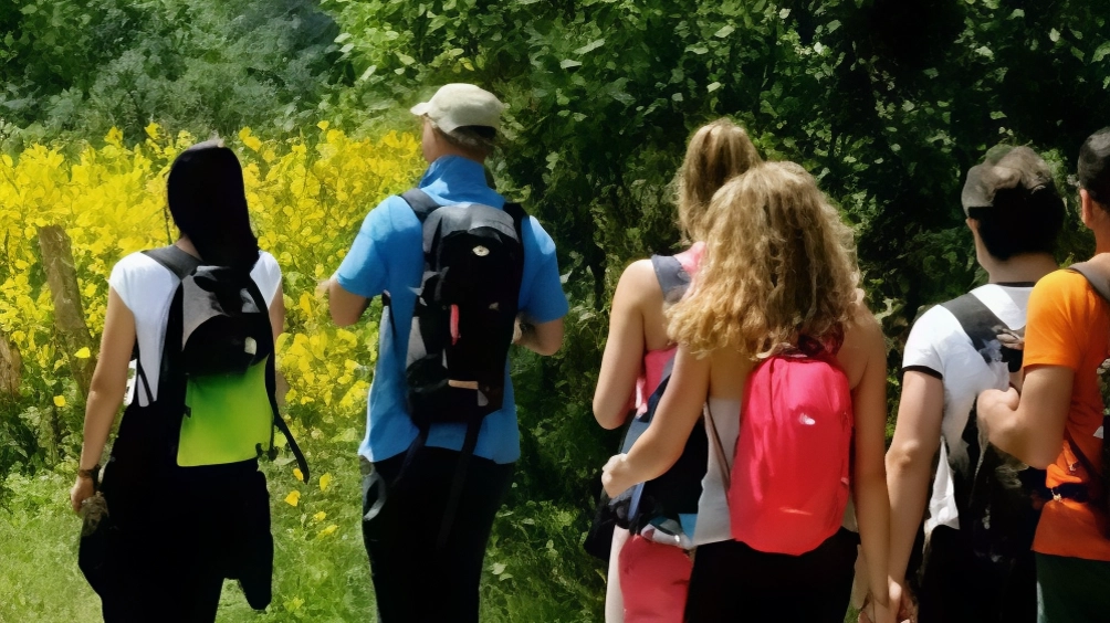 Appello a sindaci e amministratori per aumentare le foreste urbane a Brescia. Passeggiata di trekking urbano il 9 novembre per scoprire il verde cittadino. Escursione Lipu il 16 novembre. Appello a sindaci e amministratori per aumentare le foreste urbane a Brescia. Passeggiata di trekking urbano il 9 novembre per scoprire il verde cittadino. Escursione Lipu il 16 novembre.