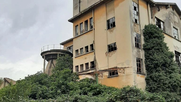 La camminata in centro organizzata dal Comitato cittadino contro la demolizione della vecchia fabbrica. La proposta al Comune: salvare una parte dell’immobile e trasformarla in una biblioteca innovativa. La camminata in centro organizzata dal Comitato cittadino contro la demolizione della vecchia fabbrica. La proposta al Comune: salvare una parte dell’immobile e trasformarla in una biblioteca innovativa.