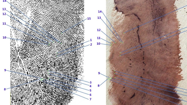 L'accostamento dell'ingrandimento del palmo destro di Andrea Sempio con l'impronta 33 nella consulenza tecnica dattiloscopica consegnata alla Procura di Pavia L'accostamento dell'ingrandimento del palmo destro di Andrea Sempio con l'impronta 33 nella consulenza tecnica dattiloscopica consegnata alla Procura di Pavia