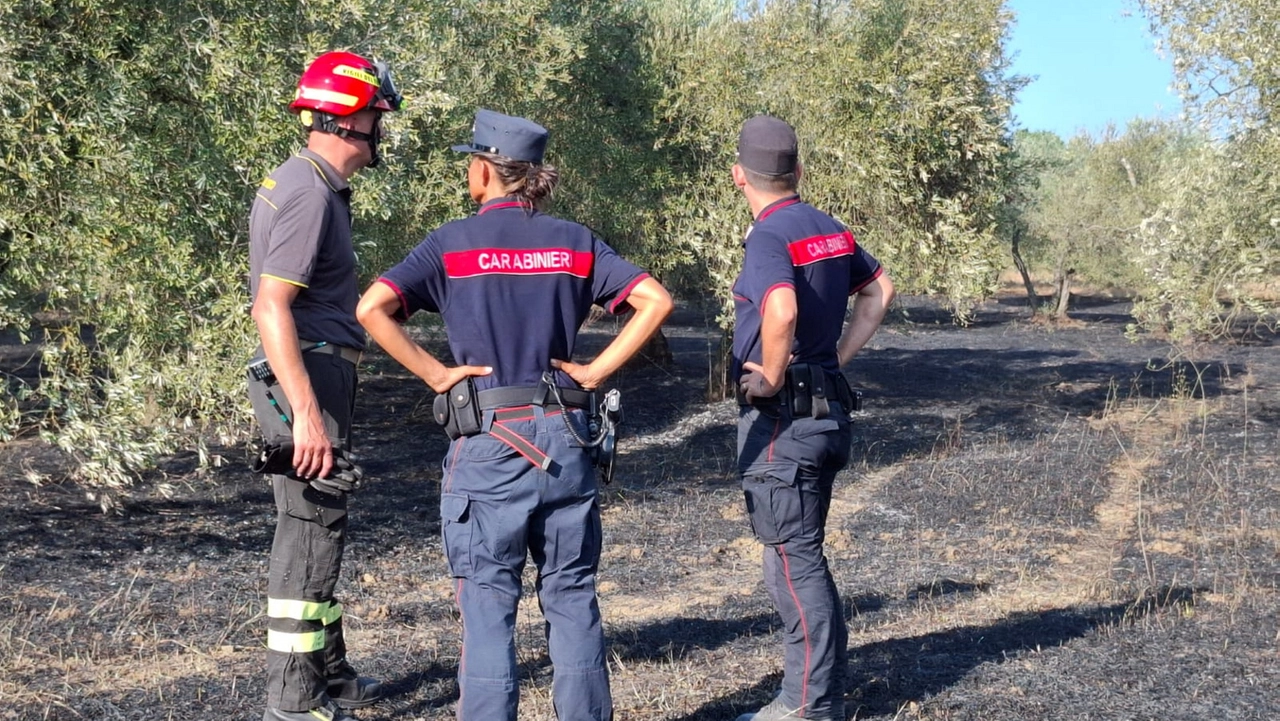 Vigili del fuoco e carabinieri hanno partecipato alle ricerche del 78enne trovato poi morto Vigili del fuoco e carabinieri hanno partecipato alle ricerche del 78enne trovato poi morto