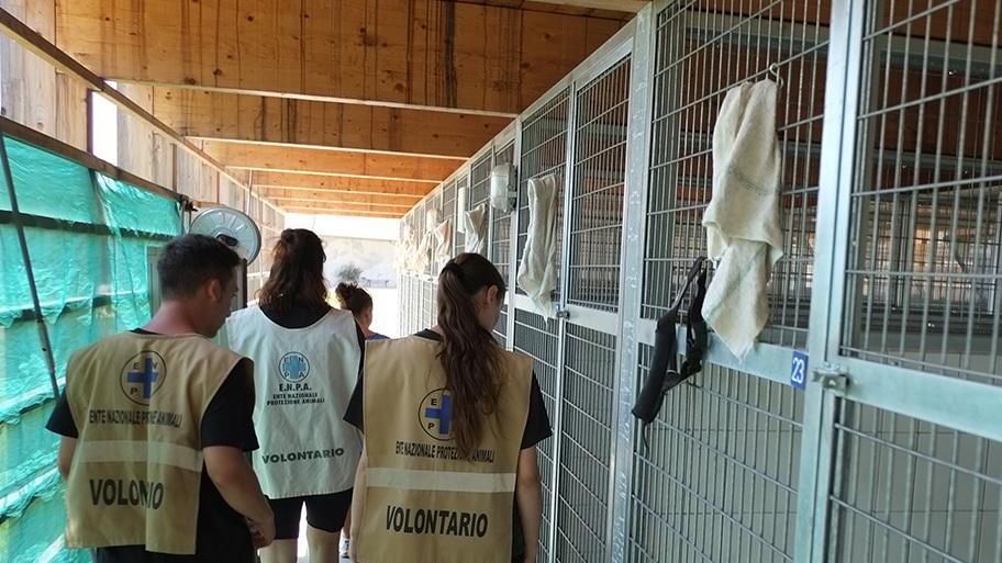 All’Enpa il percorso verso il riscatto. Qui si dà una seconda possibilità All’Enpa il percorso verso il riscatto. Qui si dà una seconda possibilità