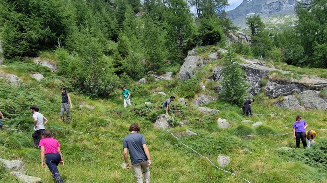 Gli studenti hanno visitato anchela faggeta della Val Qualido per la ricerca del coleottero cerambicide Rosalia alpina