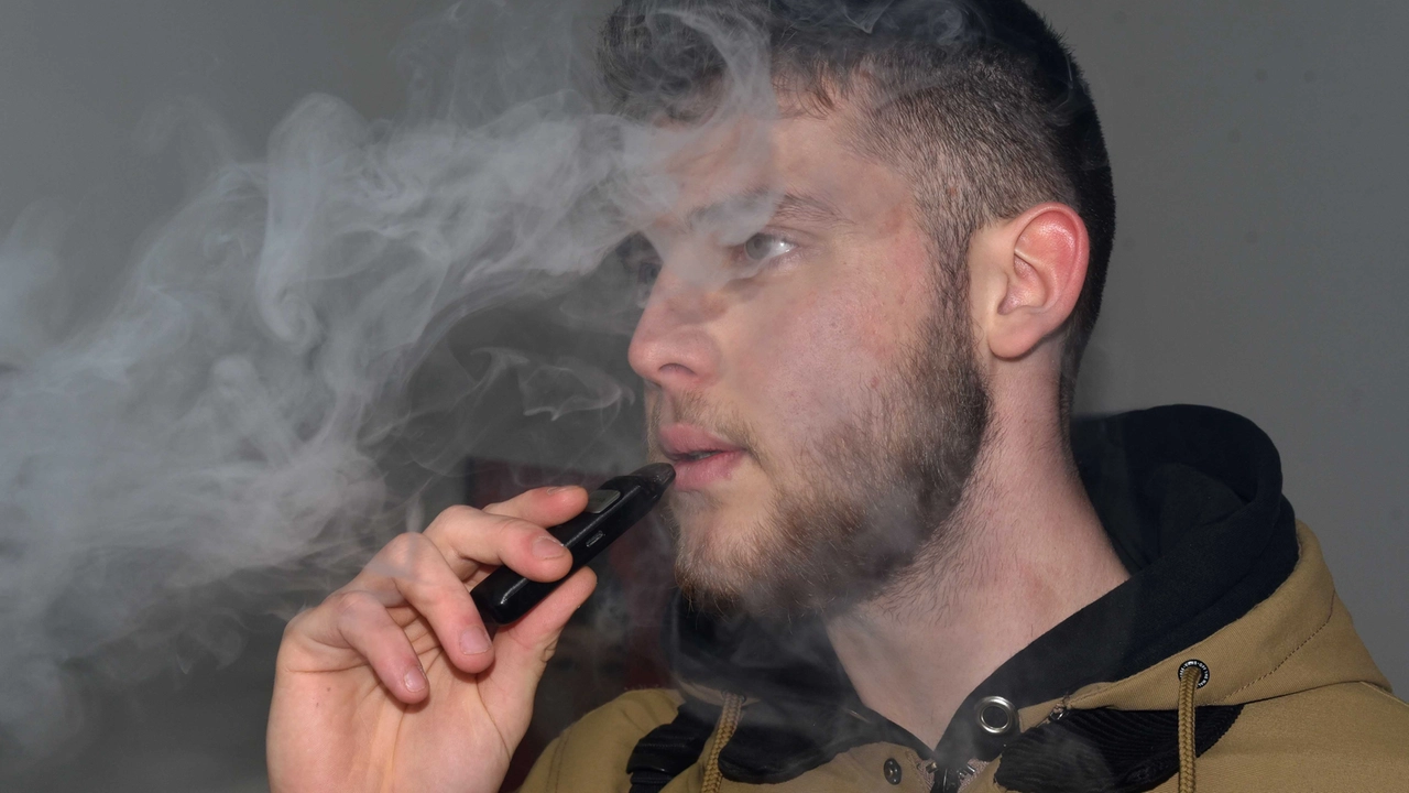 fUMO fUMO