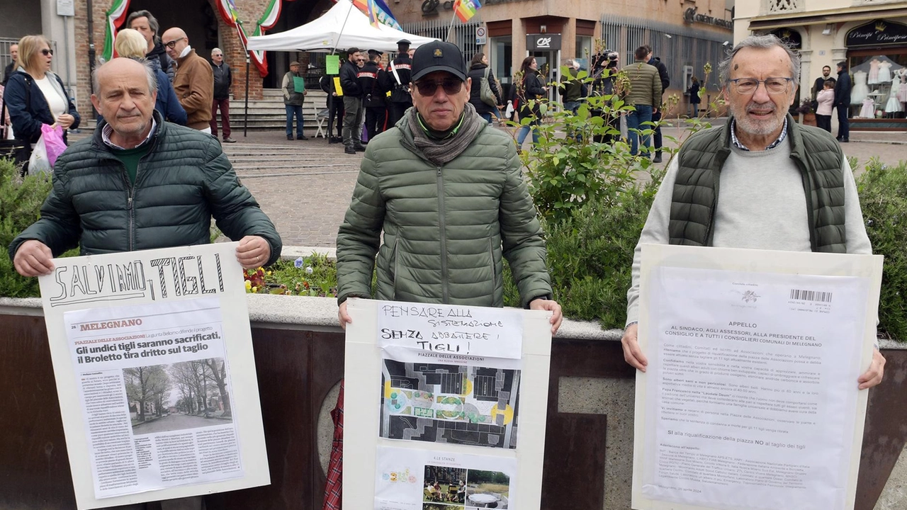 Oltre 2mila firme per cercare di salvare dall’abbattimento i tigli di piazza delle Associazioni. A metà gennaio la petizione... Oltre 2mila firme per cercare di salvare dall’abbattimento i tigli di piazza delle Associazioni. A metà gennaio la petizione...