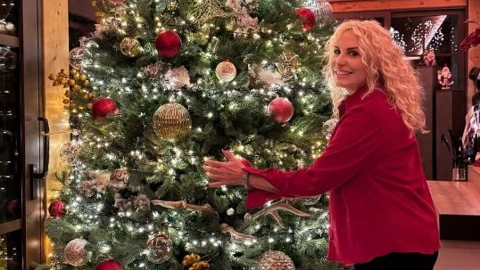 Antonella Clerici accanto al suo albero di Natale (Foto Instagram)