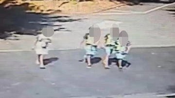 I baby pirati fuggiti dopo aver travolto e ucciso Cecilia De Astis: “Siamo scappati per paura”