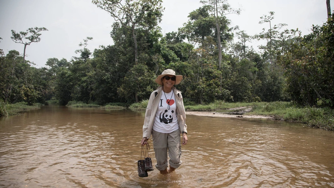 Elisabetta Dami e una delle sue grandi passioni: viaggiare. In questa foto è nella Repubblica Centrafricana Elisabetta Dami e una delle sue grandi passioni: viaggiare. In questa foto è nella Repubblica Centrafricana