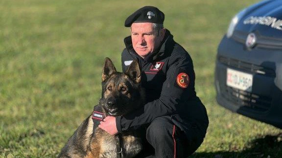 Ocsi dopo essere stato selezionato, è stato addestrato al Centro dei carabinieri cinofili di Firenze, poi ha lavorato con il brigadiere capo Massimiliano Bosastra Ocsi dopo essere stato selezionato, è stato addestrato al Centro dei carabinieri cinofili di Firenze, poi ha lavorato con il brigadiere capo Massimiliano Bosastra